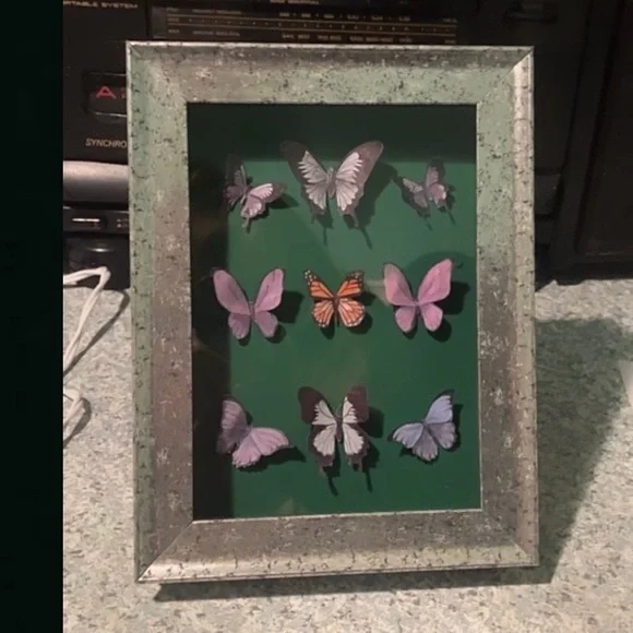 NEW ORIGINAL CUSTOM BUTTERFLY DISPLAY CASE ORDERS - Picture 3 of 6